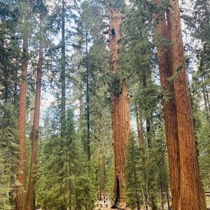 Meet your Posher, Harshil